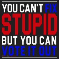 You Can't Fix Stupid But You Can Vote It Out Women's Sweatshirt thumb 2
