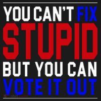 You Can't Fix Stupid But You Can Vote It Out Coaster thumb 2