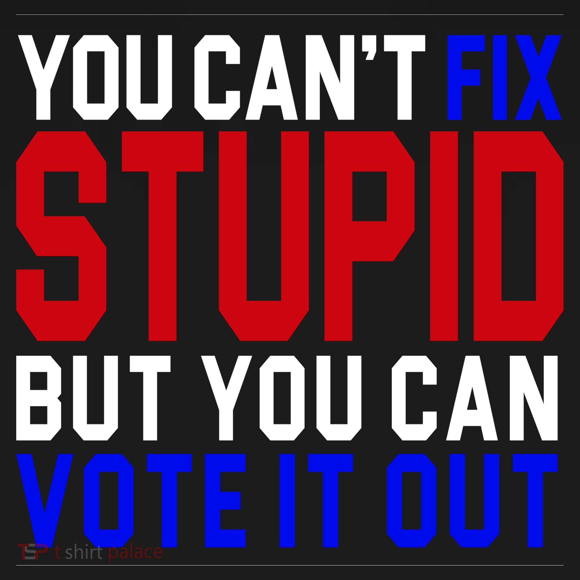 You Can't Fix Stupid But You Can Vote It Out Coaster