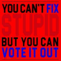 You Can't Fix Stupid But You Can Vote It Out Santa Hat thumb 1
