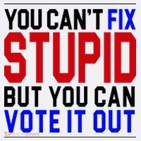 You Can't Fix Stupid But You Can Vote It Out Women's Hoodie thumb 2