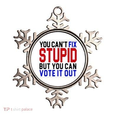 You Can't Fix Stupid But You Can Vote It Out Ornament