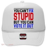 You Can't Fix Stupid But You Can Vote It Out Hat thumb 0