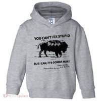 You Can’T Fix Stupid But I Can ItS Gonna Hurt Funny Quote Toddler Hoodie thumb 0