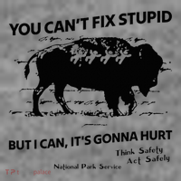 You Can’T Fix Stupid But I Can ItS Gonna Hurt Funny Quote Toddler Hoodie thumb 2
