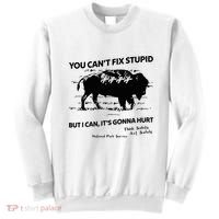 You Can’T Fix Stupid But I Can ItS Gonna Hurt Funny Quote Sweatshirt thumb 0
