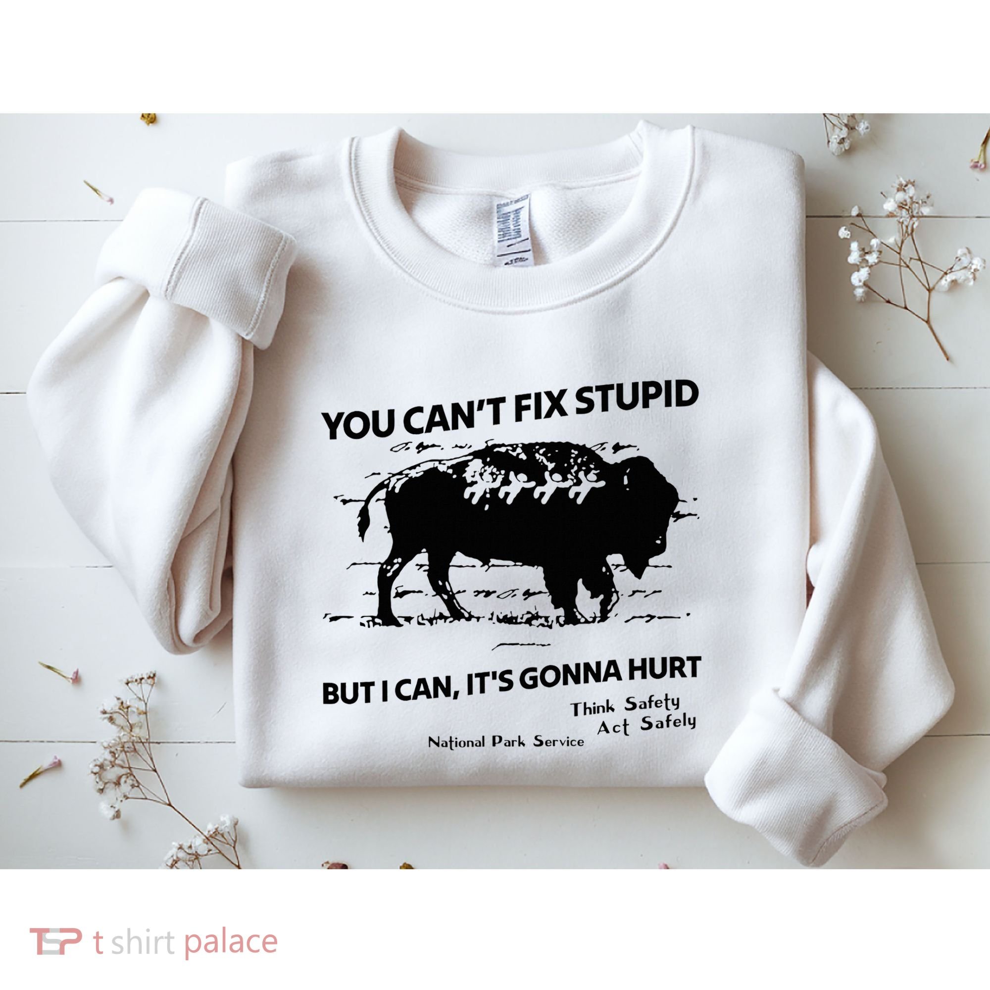 You Can’T Fix Stupid But I Can ItS Gonna Hurt Funny Quote Sweatshirt