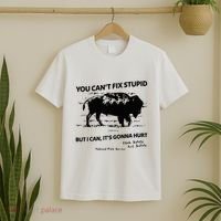 You Can’T Fix Stupid But I Can ItS Gonna Hurt Funny Quote T-Shirt thumb 2