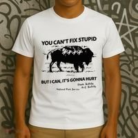 You Can’T Fix Stupid But I Can ItS Gonna Hurt Funny Quote T-Shirt thumb 3