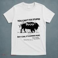 You Can’T Fix Stupid But I Can ItS Gonna Hurt Funny Quote T-Shirt thumb 5