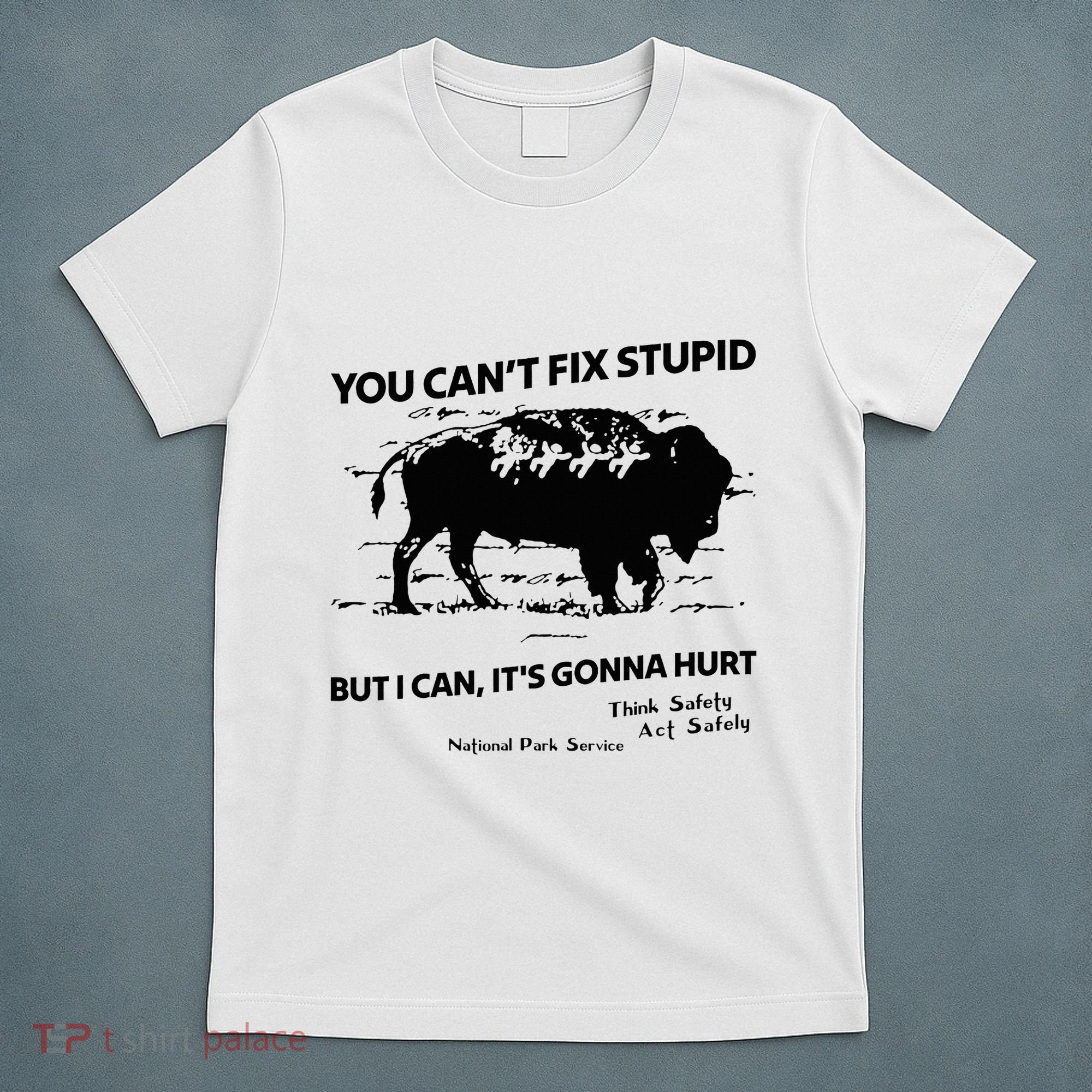 You Can’T Fix Stupid But I Can ItS Gonna Hurt Funny Quote T-Shirt