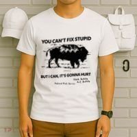 You Can’T Fix Stupid But I Can ItS Gonna Hurt Funny Quote T-Shirt thumb 6