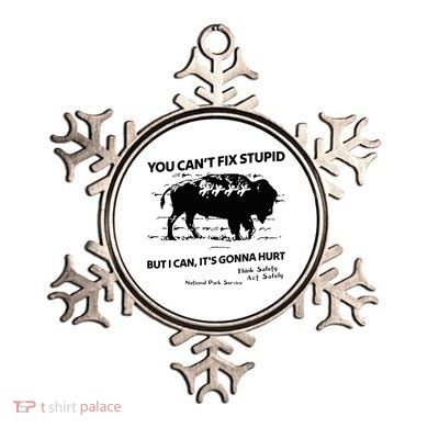 You Can’T Fix Stupid But I Can ItS Gonna Hurt Funny Quote Ornament