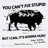 You Can’T Fix Stupid But I Can ItS Gonna Hurt Funny Quote Women's Tank Top thumb 5