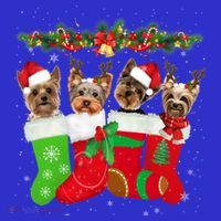Yorkie Christmas Gift Stocking Dog Lover Xmas Gift Visor thumb 3