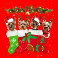 Yorkie Christmas Gift Stocking Dog Lover Xmas Gift Santa Hat thumb 1