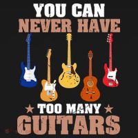 You Can Never Have Too Many Guitars Shirt Guitar Lover Women's Hoodie thumb 2