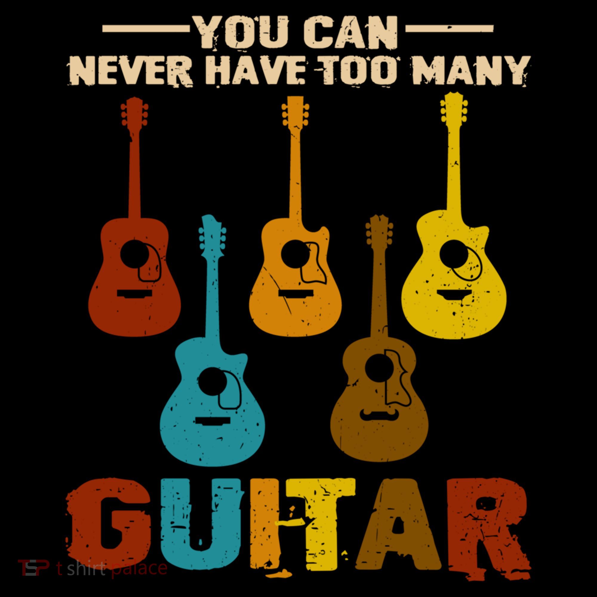 You Can Never Have Too Many Guitars Cool Gift Women's Hoodie