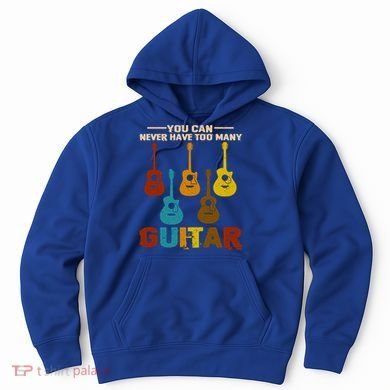 You Can Never Have Too Many Guitars Cool Gift Hoodie