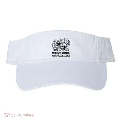 Visor