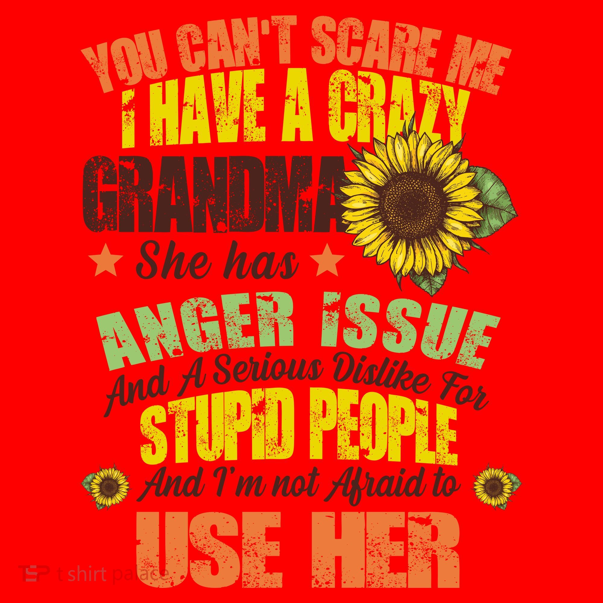 You Can't Scare Me I Have A Grandma With Anger Issues Santa Hat