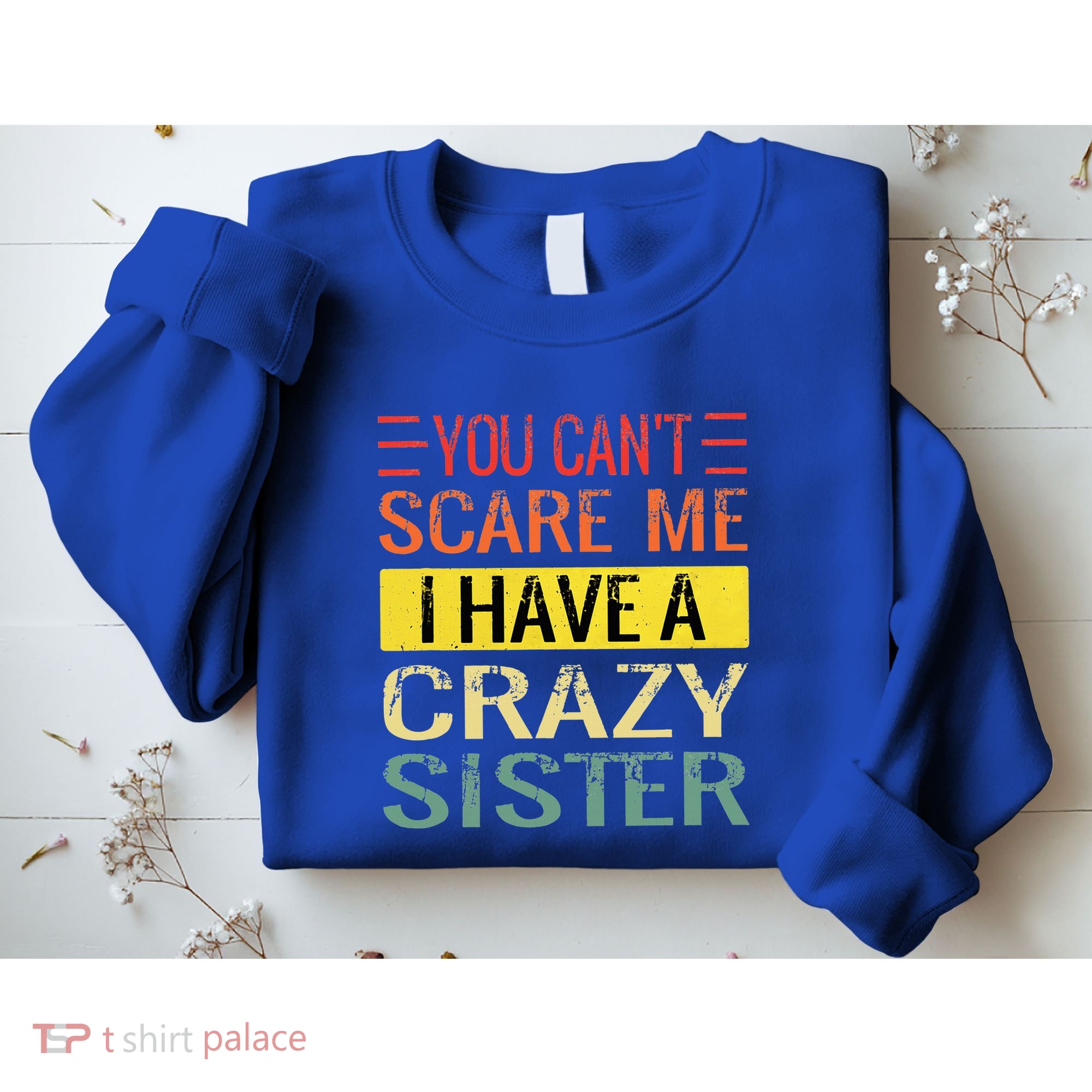 You Cant Scare Me I Have A Crazy Sister Funny Brothers Gift Sweatshirt