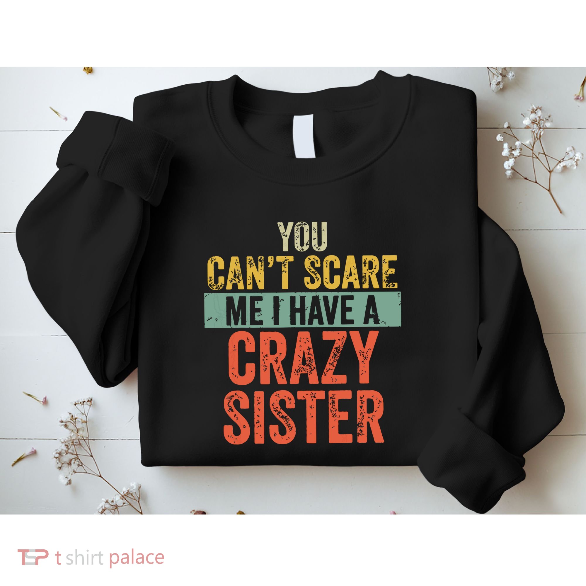 You Cant Scare Me I Have A Crazy Sister Funny Brothers Gift Sweatshirt