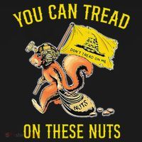 You Can Tread On These Nuts Patriotic Squirrel Funny Humor Women's Hoodie thumb 2