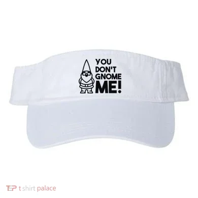 Visor