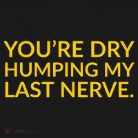 You're Dry Humping My Last Nerve Funny Offensive Saying Ornament thumb 1