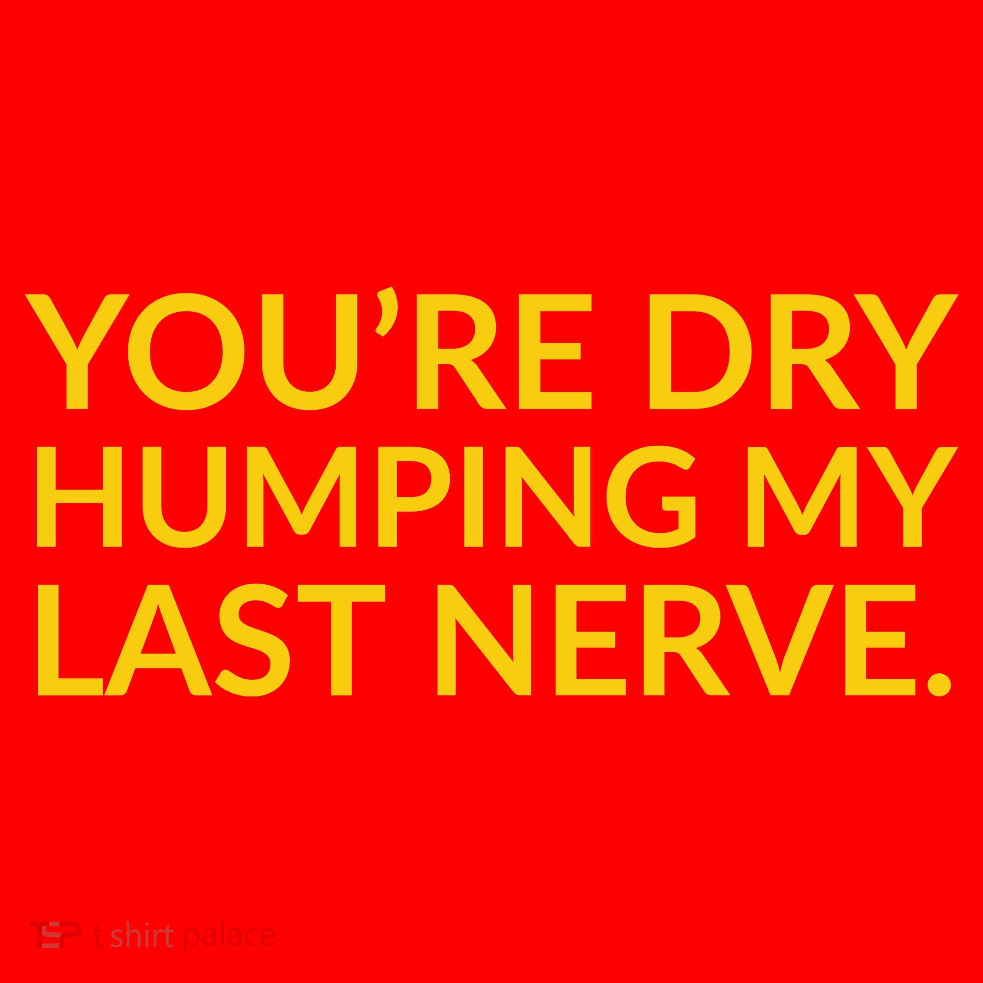 You're Dry Humping My Last Nerve Funny Offensive Saying Santa Hat