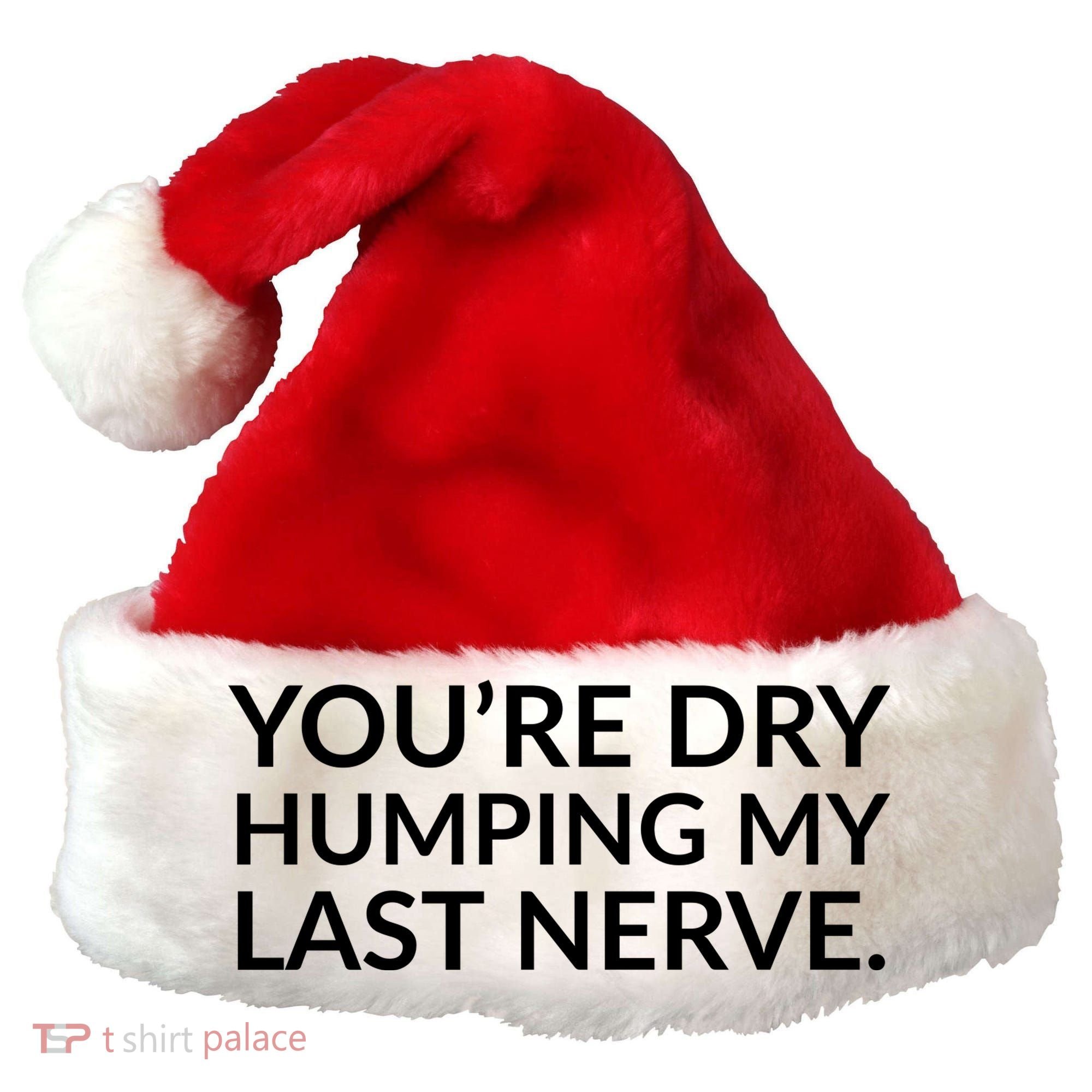 You're Dry Humping My Last Nerve Funny Offensive Saying Santa Hat