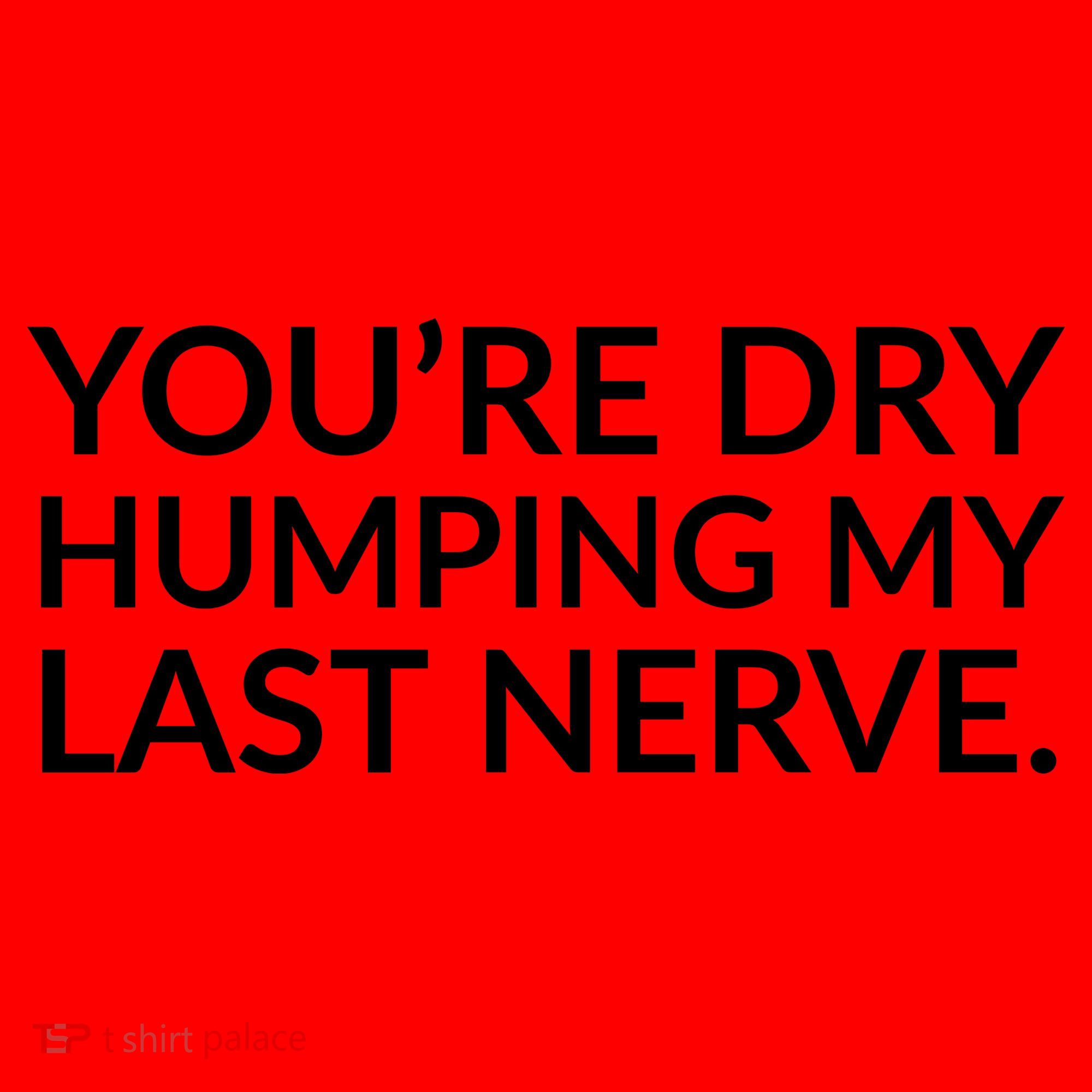 You're Dry Humping My Last Nerve Funny Offensive Saying Santa Hat