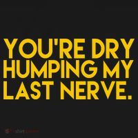 You're Dry Humping My Last Nerve Funny Ornament thumb 1
