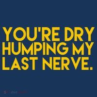 You're Dry Humping My Last Nerve Funny Women's Hoodie thumb 2