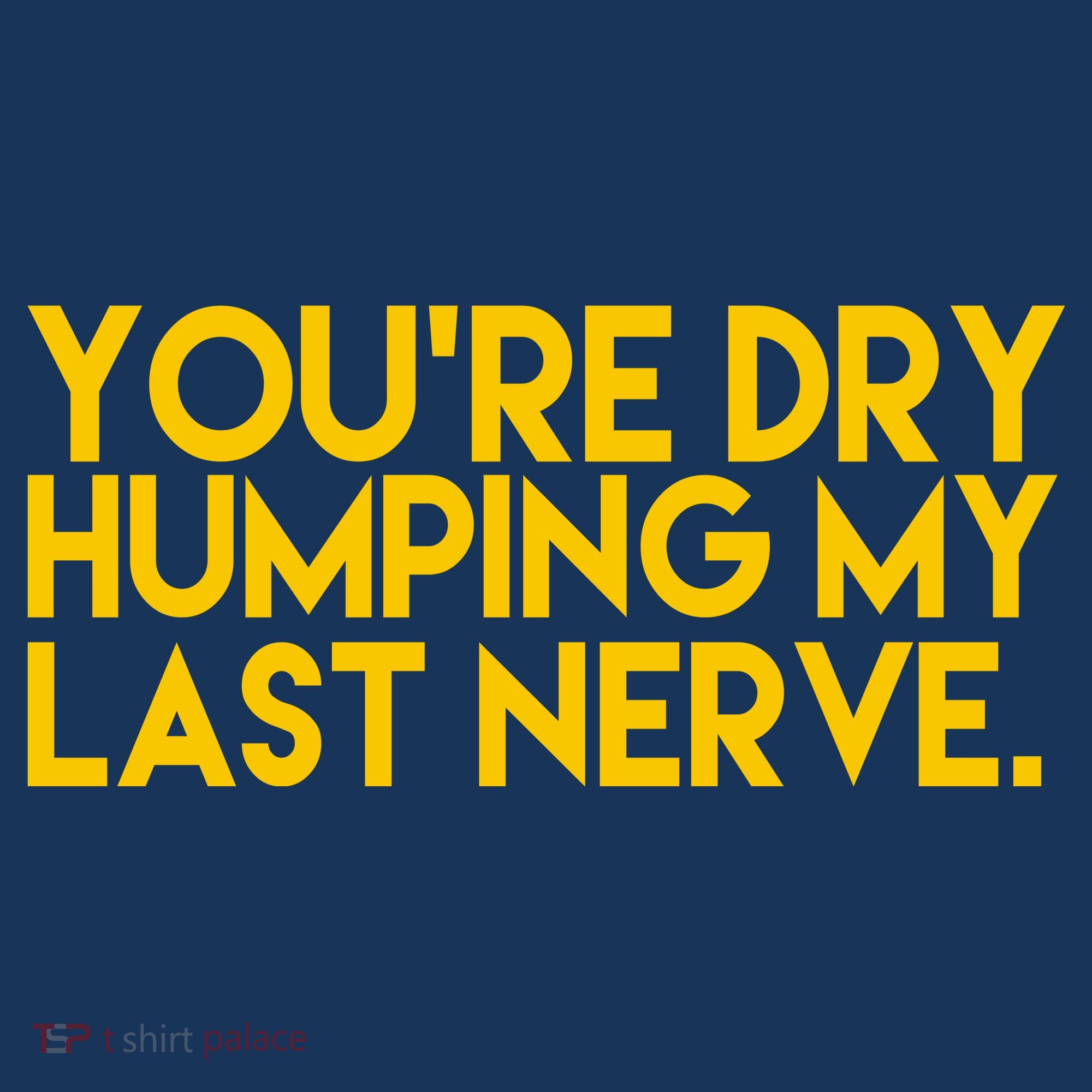You're Dry Humping My Last Nerve Funny Women's Hoodie