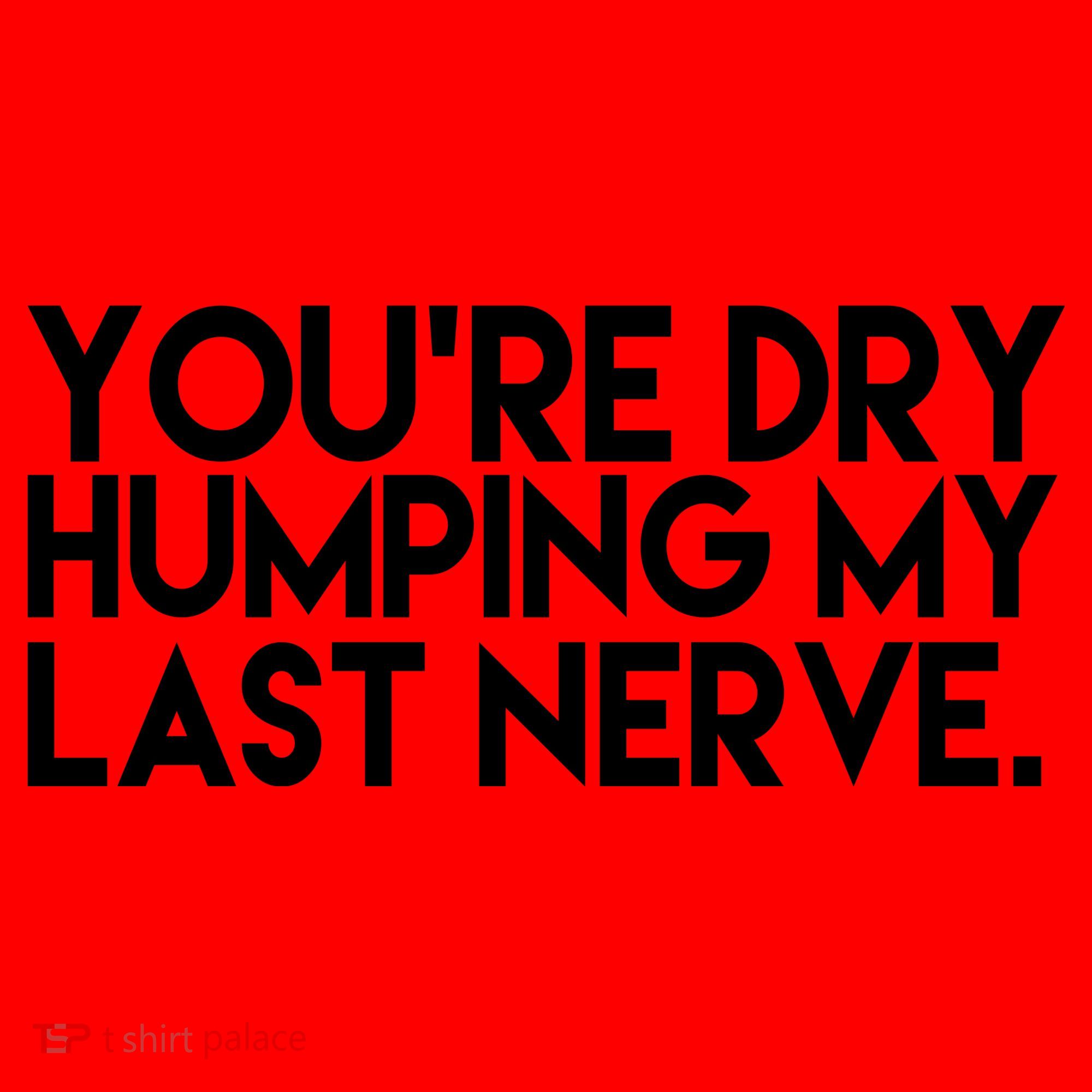 You're Dry Humping My Last Nerve Funny Santa Hat
