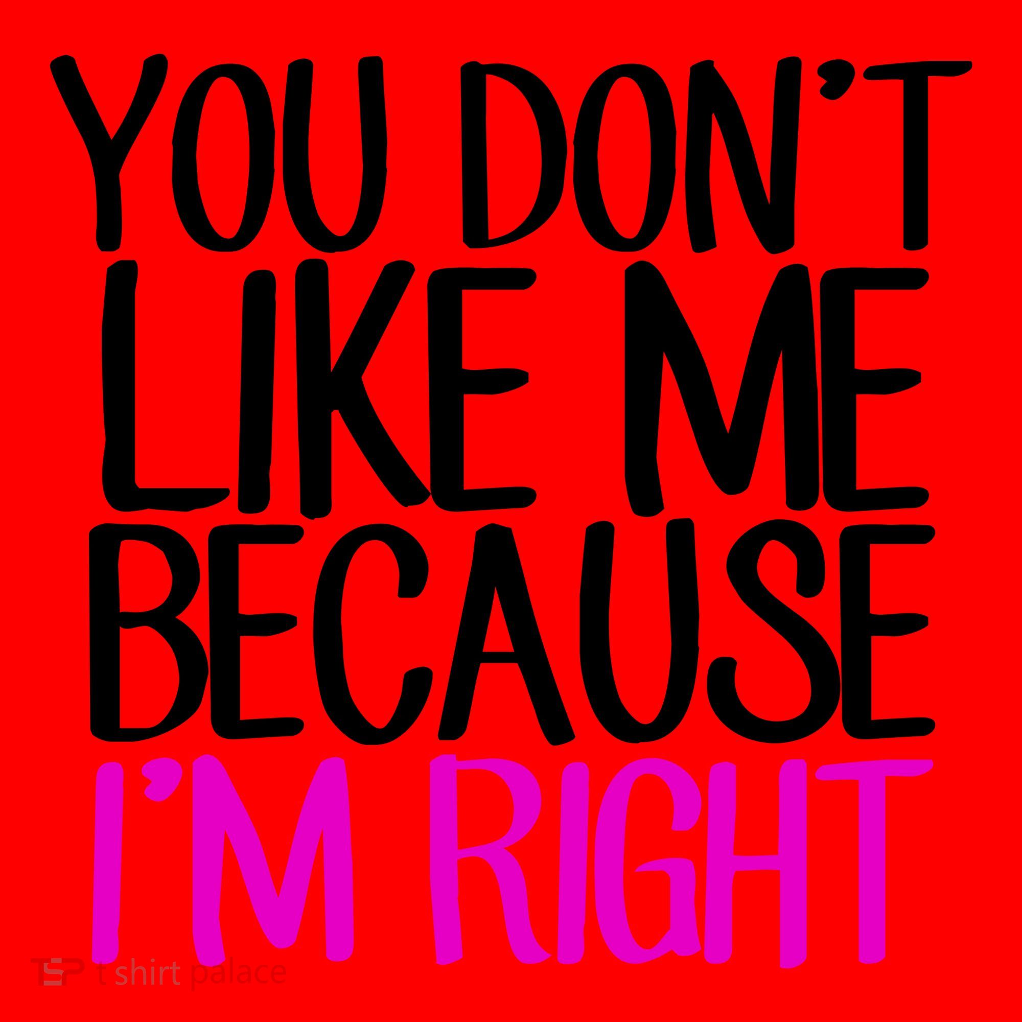 You Don't Like Me Because I'm Right Santa Hat