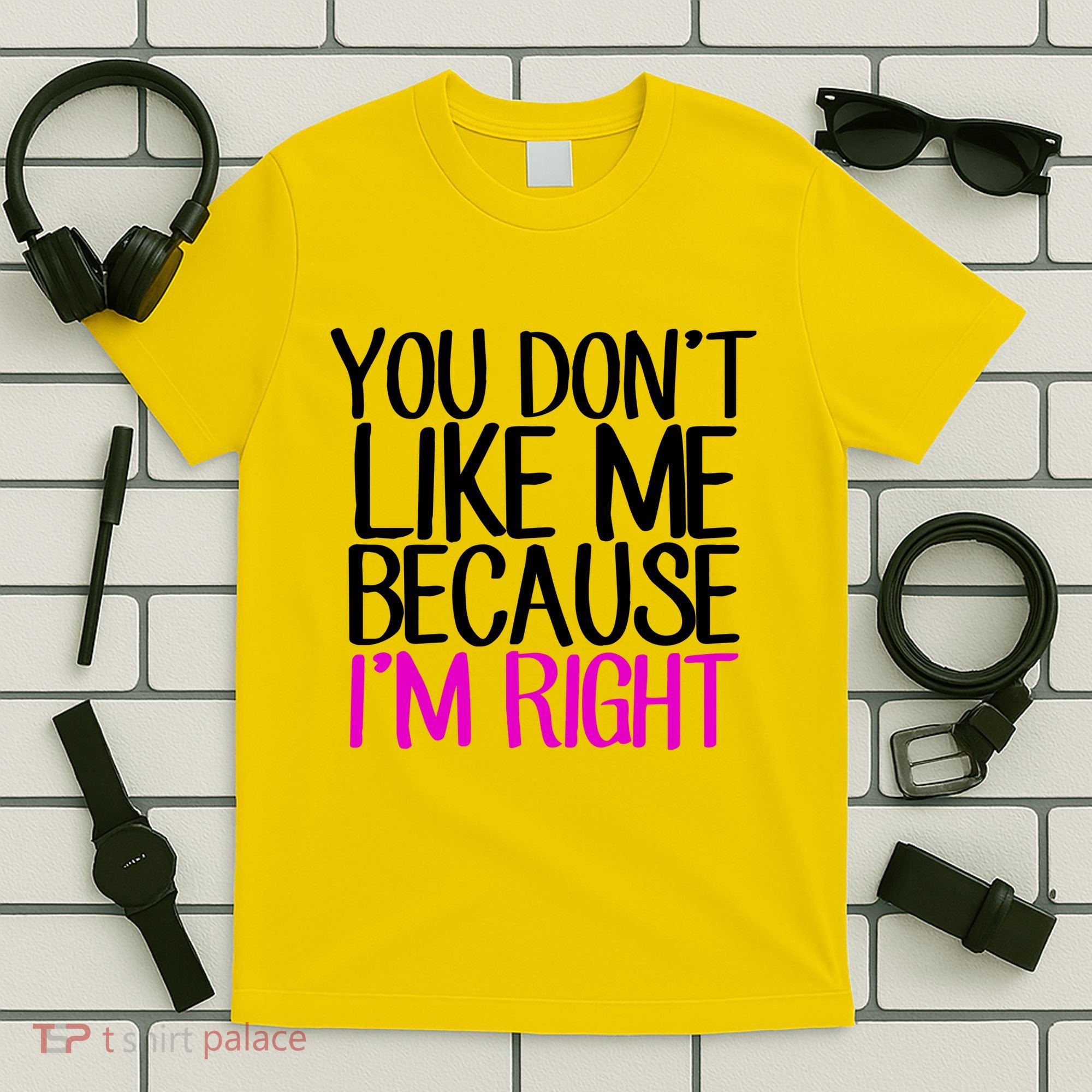 You Don't Like Me Because I'm Right T-Shirt