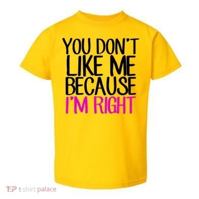 You Don't Like Me Because I'm Right Toddler T-Shirt