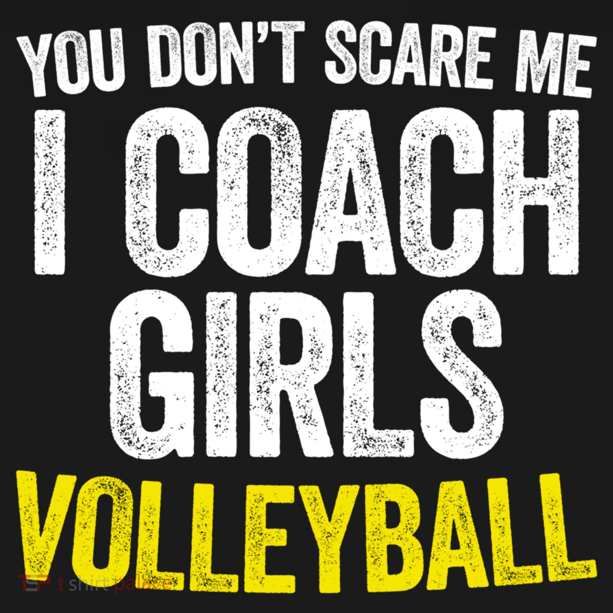 You Don't Scare Me I Coach Girls Volleyball Cute Gift Women's Hoodie