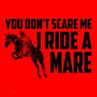 You DonT Scare Me I Ride A Mare Horse Lovers Gift Santa Hat thumb 1