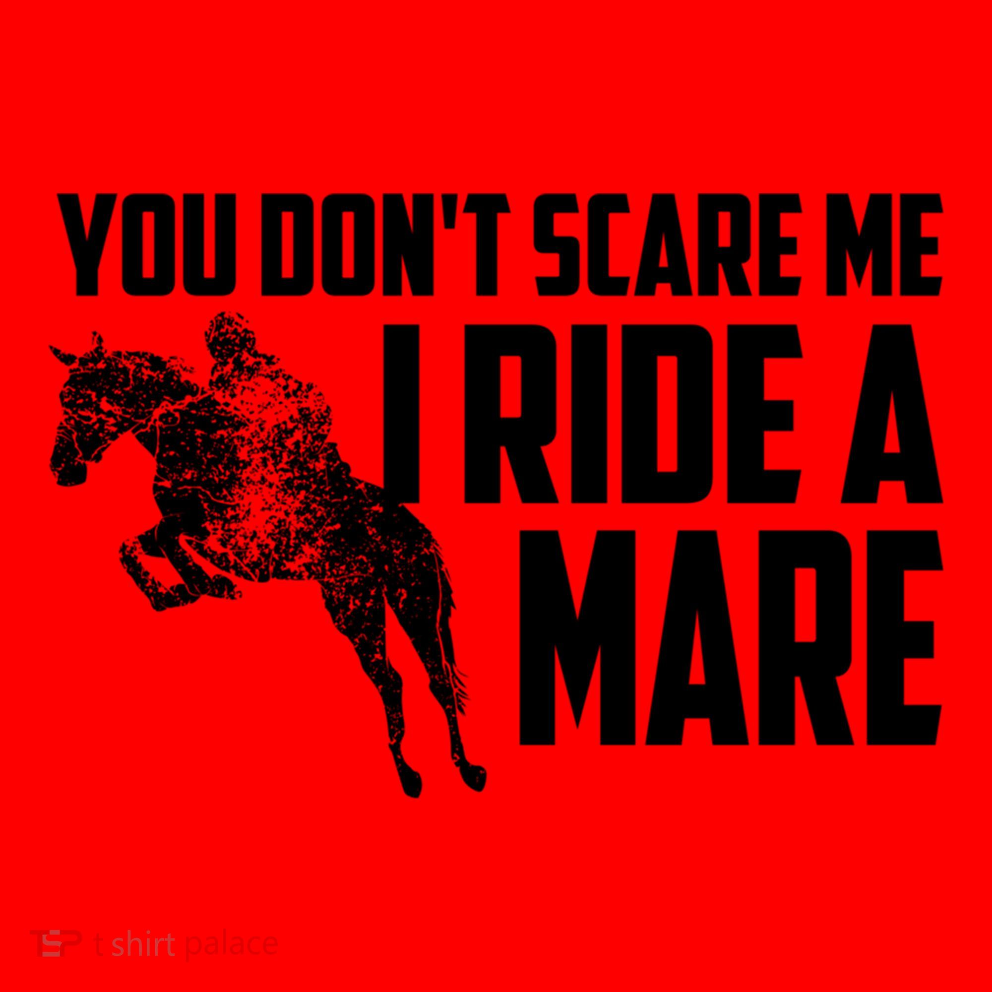 You DonT Scare Me I Ride A Mare Horse Lovers Gift Santa Hat