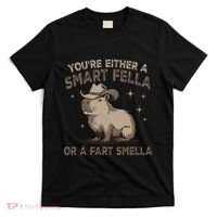 YouRe Either A Smart Fella Or A Fart Smella T-Shirt thumb 0