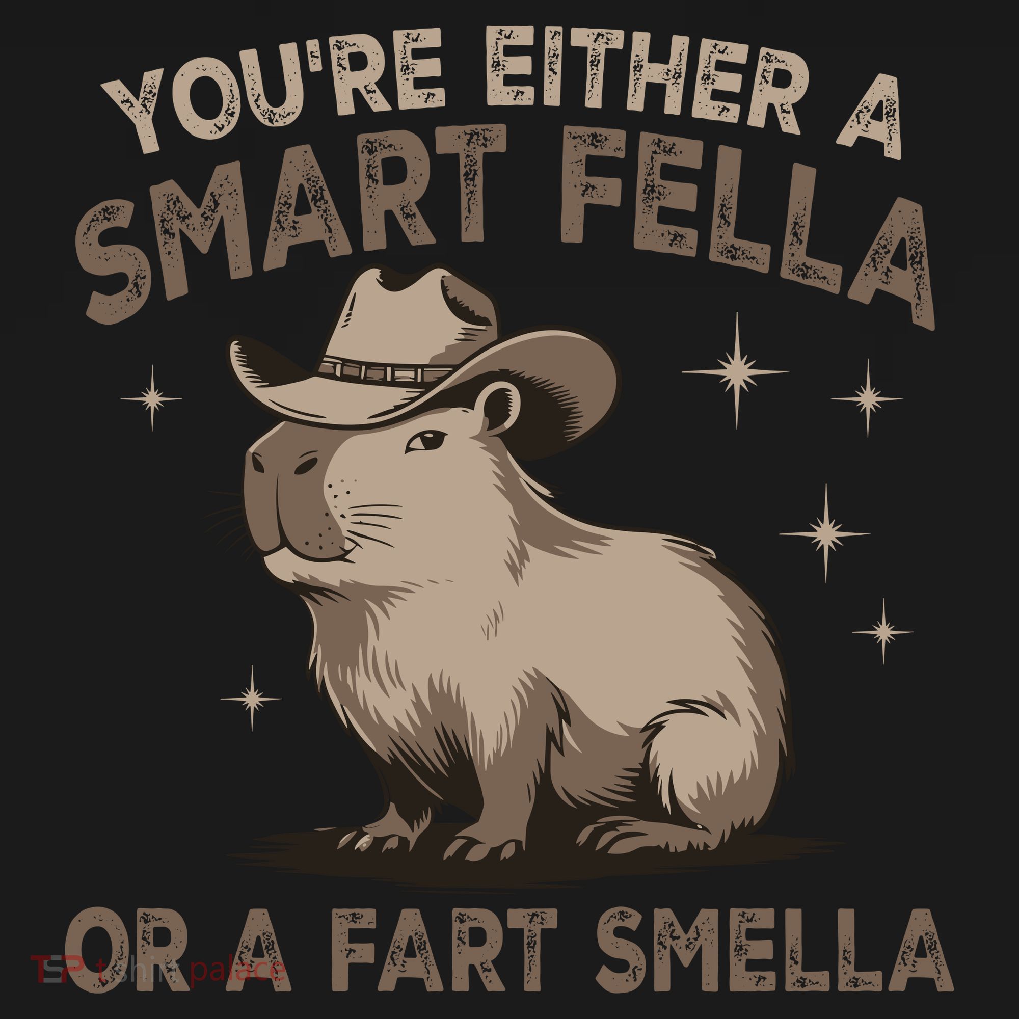 YouRe Either A Smart Fella Or A Fart Smella T-Shirt