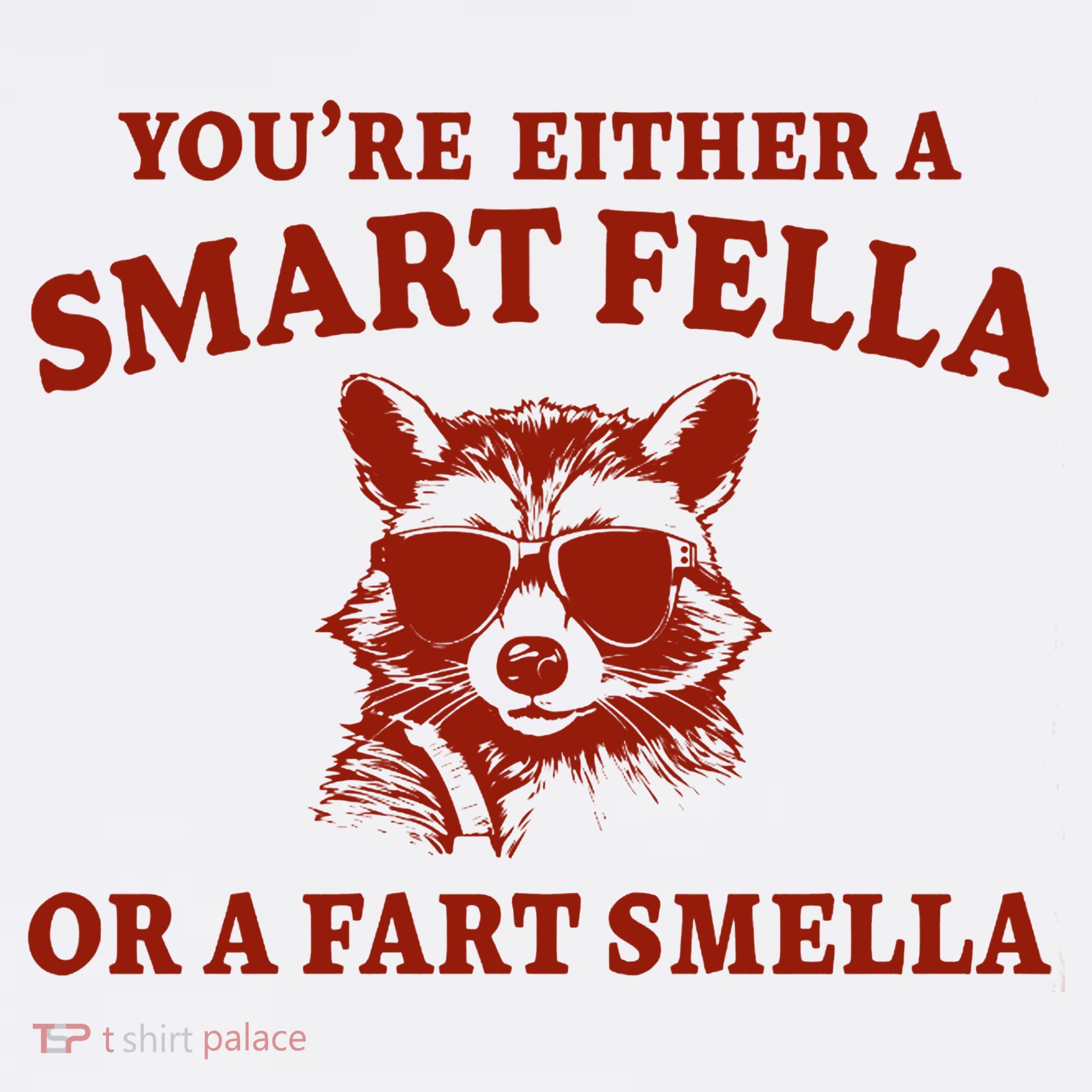 Youre Either A Smart Fella Or A Fart Smella Funny Women's Hoodie