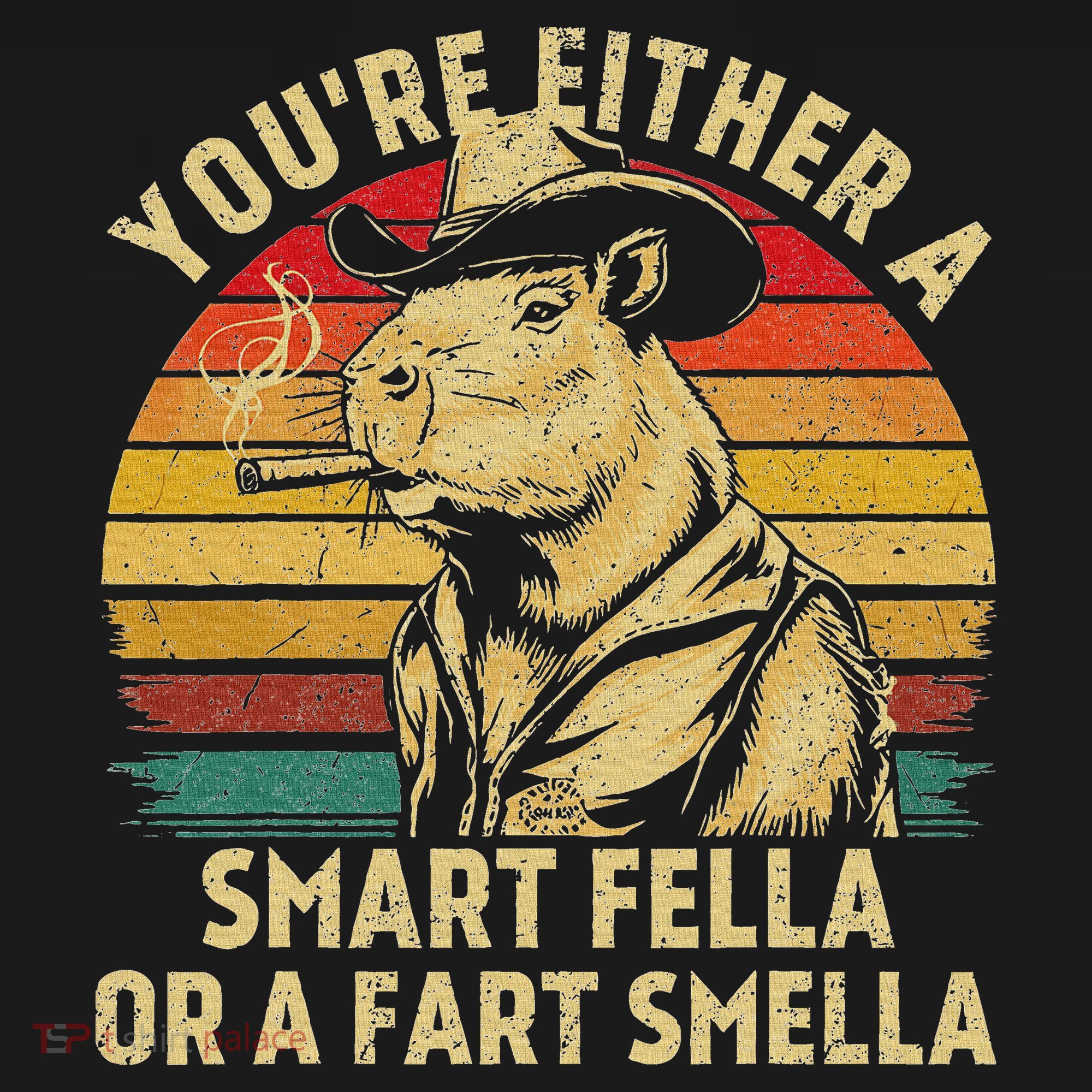 YouRe Either A Smart Fella Or A Fart Smella Women's Hoodie