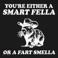Youre Either A Smart Fella Or A Fart Smella Funny Toddler Hoodie thumb 2