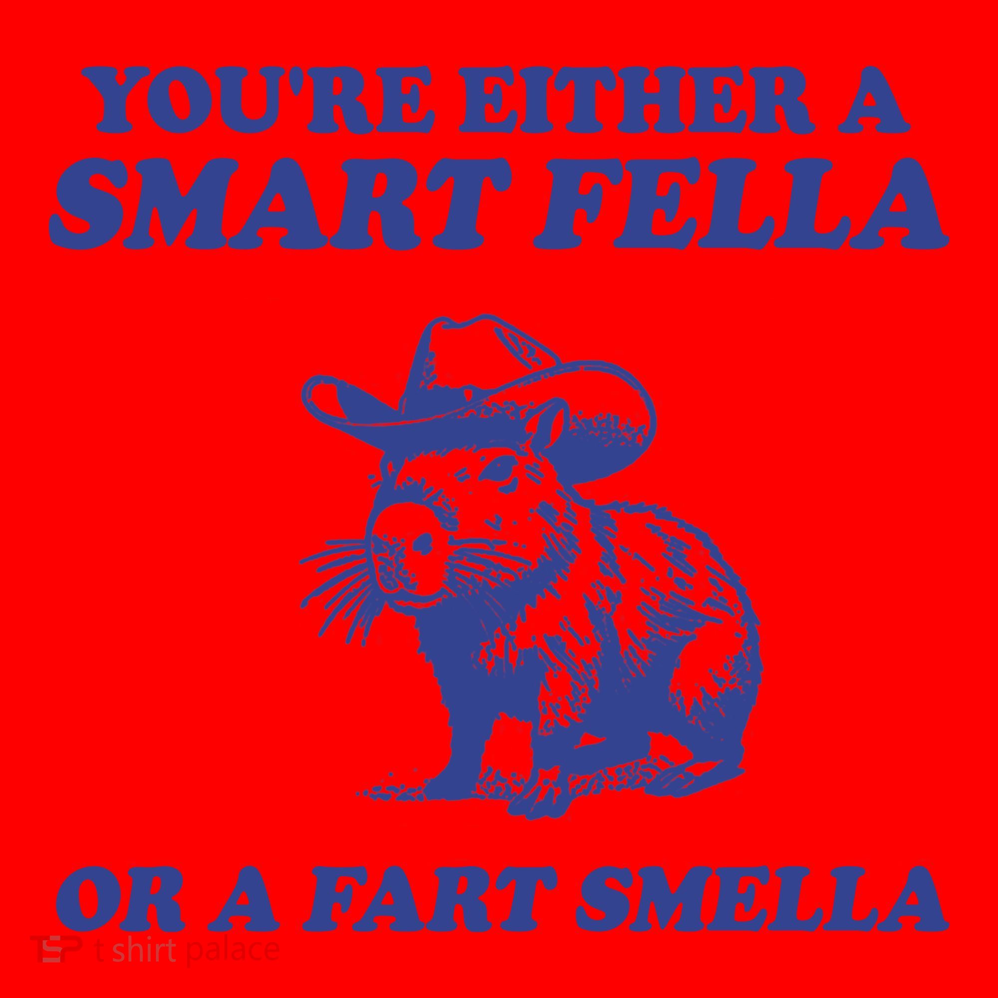 Youre Either A Smart Fella Or A Fart Smella Funny Santa Hat