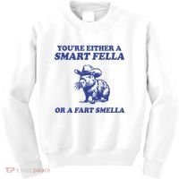Youre Either A Smart Fella Or A Fart Smella Funny Kids Sweatshirt thumb 0